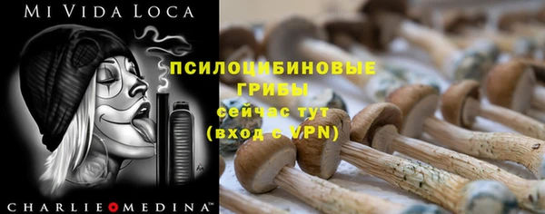стафф Баксан