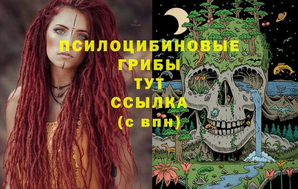 хмурый Балахна