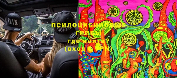 стафф Баксан