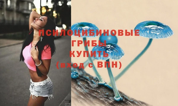 стафф Баксан