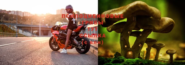 стафф Баксан