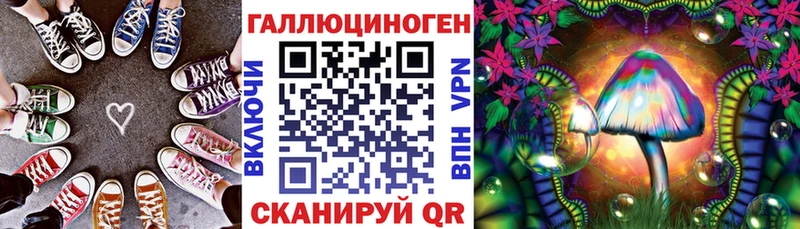 купить   omg как войти  Галлюциногенные грибы Cubensis  Питкяранта 